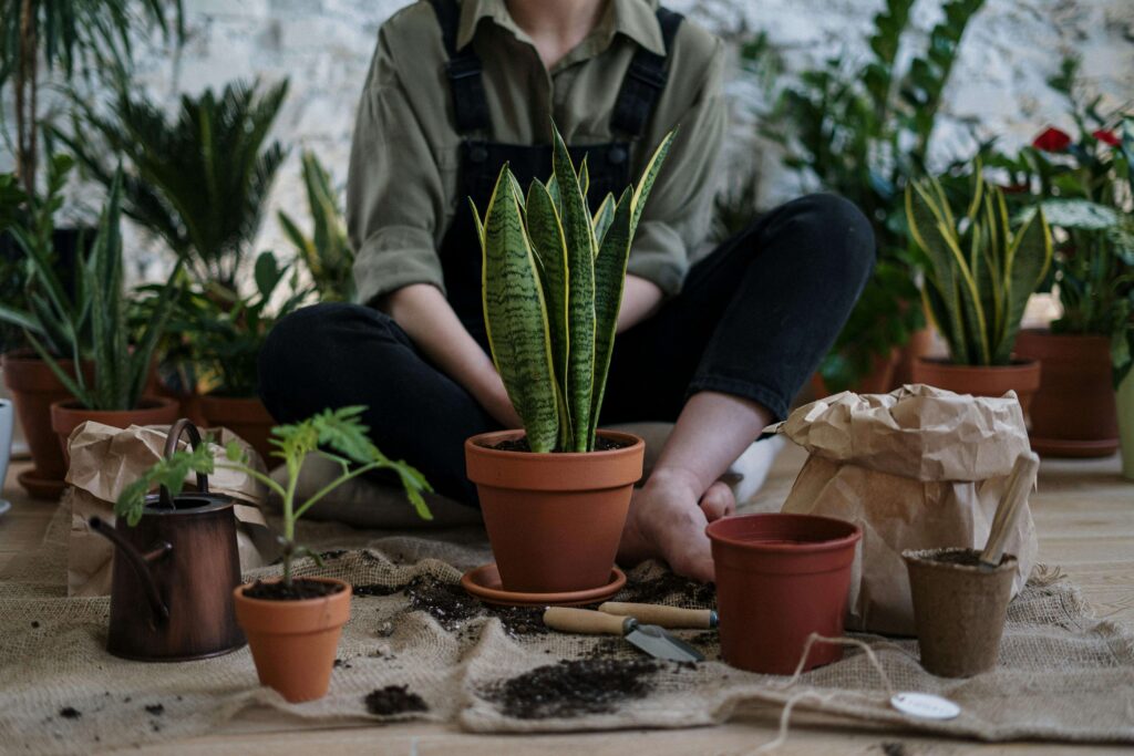 Person gardening in a lush green garden.