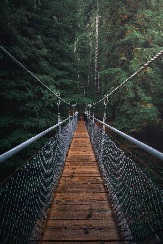 Person walking through a lush forest.